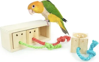 Produktbild von 3 Papageienabwechslungsboxen - Puzzlespielzeug für mittlere und große Papageien