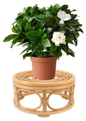 Produktbild von Pflanzgefäßhalter aus Rattan, für Innen- und Außenbereich