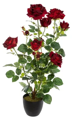 Produktbild von Kunstpflanze im Topf STRAUCHROSE, 74 cm, rot