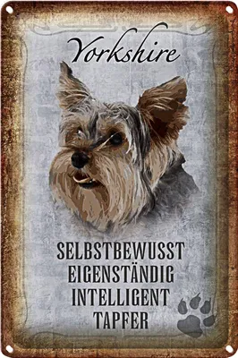 Produktbild von Blechschild Spruch 20x30cm Yorkshire Hund