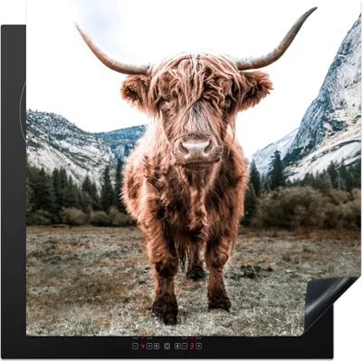 Produktbild von KitchenYeah© Herdabdeckplatte Schottischer Highlander - Berg - Tiere , 78x78cm, Küche Deko, Glaskeramikkochfeld Herdabdeckung, Abdeckplatte fùr Kochfeld
