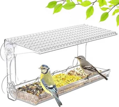 Immagine prodotto di Casetta per uccelli da finestra, grande, trasparente, 245x10x14 cm, con vaschetta