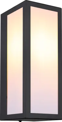 A close-up, front-facing view of a black outdoor wall light with frosted glass panels.