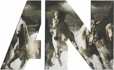 Obrázek produktu pro Awolnation - Run (CD)