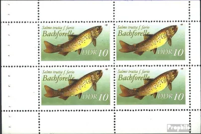 Produktbild von Briefmarken DDR 1989 Mi Hbl19v postfrisch Süßwasserfische
