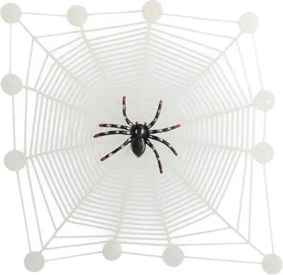 Image de TRENDHAUS Toile d'araignée sur adhésif 960474