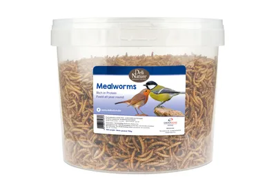 Produktbild von Mehlwürmer 700g Holland Diervoeders