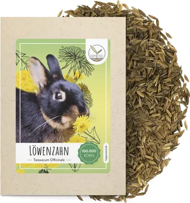 Produktbild von Löwenzahn Samen für Kaninchen - Wildkräuter Saatgut als optimale Futterergänzung für Kaninchen, Meerschweinchen und Schildkröten (100.000 Samen)
