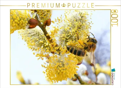 Produktbild von CALVENDO Puzzle Frühlingsbote - Honigbiene beim Bestäuben eines Weidenkätzchens. | 1000 Teile Lege-Größe 64x48cm Foto-Puzzle für glückliche Stunden