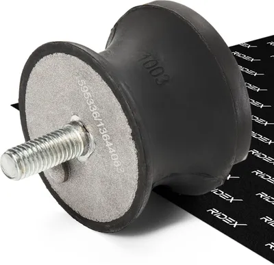Produktbild von RIDEX Motorlager Hinten für VW GOLF VI (5K1) 247E0084