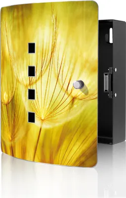 Produktbild von banjado Design Schlüsselkasten aus Edelstahl für 10 Schlüssel, Schlüsselschrank 24 x 21,5 x 7cm groß mit Magnetverschluss, Pusteblumen Gold [BWSK 12265]