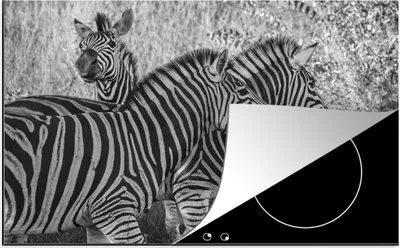 Produktbild von KitchenYeah© Herdabdeckplatte Drei grasende Zebras , 80x52cm, Küche Deko, Glaskeramikkochfeld Herdabdeckung, Abdeckplatte fùr Kochfeld