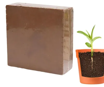 Image de Substrat organique de 300g pour plantes et légumes