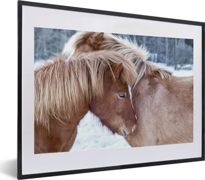 Produktbild von MuchoWow® MuchoWow® Gerahmtes Poster Pferde - Fohlen - Schnee 40x30 cm - Poster mit zchwarzem Bilderrahmen - Bilderrahmen - Poster im Rahmen