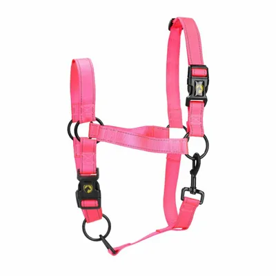 Produktbild von Excellent Horse Premium Halfter rosa, Größe: XS