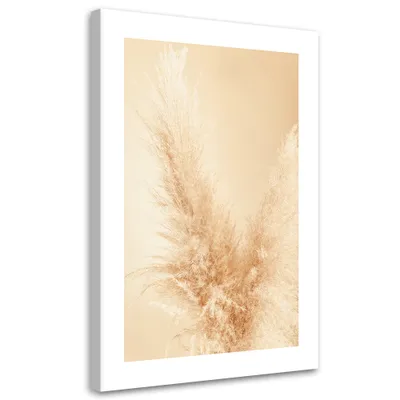 Produktbild von Leinwandbild Pampasgras, Nahaufnahme 70x100 Feeby Beige bild für die wand bereit zum aufhängen