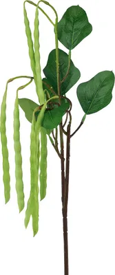 Produktbild von Kaemingk Buschbohnenstiel Grün mit runden Hülsen 85 cm - Kunstpflanzen