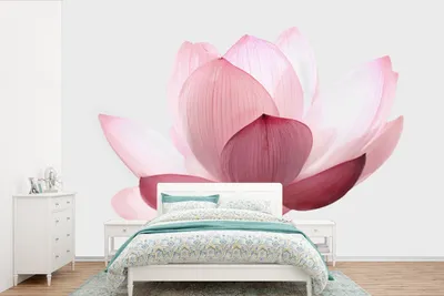 Produktbild von MuchoWow® Fototapete für Wohnzimmer oder Schlafzimmer Wandtapete Vinyl Motivtapete Blumen - Rosa - Natur - Botanisch - 600x400 cm - Vinyltapeten