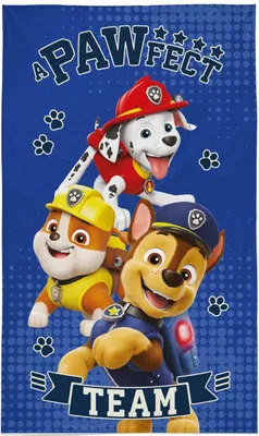 Immagine prodotto di DETEXPOL Asciugamano per bambini Paw Patrol Team Cotone - Terry, 50/30 cm