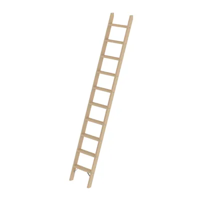 Produktbild von MUNK Holz-Anlegeleiter ohne Traverse 10 Stufen