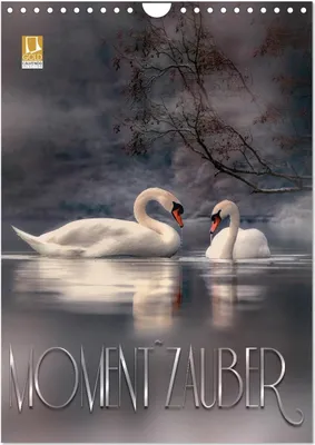 Produktbild von Moment Zauber (Wandkalender 2026 DIN A4 hoch), CALVENDO Monatskalender