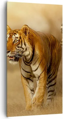 Produktbild von Bild auf Leinwand - Leinwandbild - tiger tier - 65x120cm - Wand Bild - Wanddeko - Wandbilder - Leinwanddruck - Bilder - Kunstdruck - Wanddekoration - Leinwand bilder - Wandkunst - PA65x120-3946