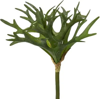 Produktbild von artplants.de Künstlicher Geweihfarn FOLHER, Steckstab, grün, 30cm - Deko Farnpflanze