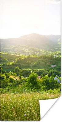Produktbild von MuchoWow® Poster Wald - Landschaft - Sonne - Natur - Sonnenaufgang 20x40 cm - Plakat - Foto