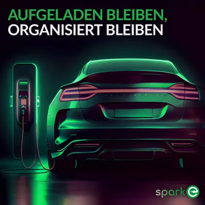 Produktbild von spark-e EV-Ladekabel Halterung - Typ 2 - Silber - Typ 2 - Silber
