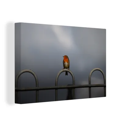 Obrázek produktu pro OneMillionCanvasses® Malba na plátně Nástěnná malba na plátně - Robin - Pták - Plot - 150x100cm