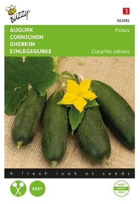 Produktbild von Einlegegurke Hokus | Einlegegurkensamen von Buzzy Seeds