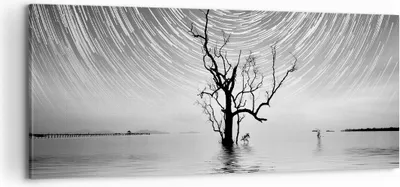 Produktbild von Bild auf Leinwand - Leinwandbild - Einteilig - Schwarzweiß Baum See - 100x40cm - Wand Bild - Wanddeko - Wandbilder - Leinwanddruck - Bilder - Wanddekoration - Leinwand bilder - AB100x40-4253