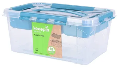 Aufbewahrungsbox 4,2 l mit Deckel und Griff, 29x19x12,4 cm