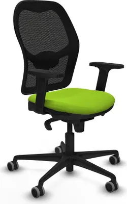 Image de Gaming-Stuhl Piqueras y Crespo 2D036G0 Pistazienfarben