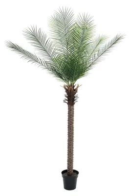 Productafbeelding van EUROPALMS Phönix palm, deluxe kunstplant, 220 cm (82509722)