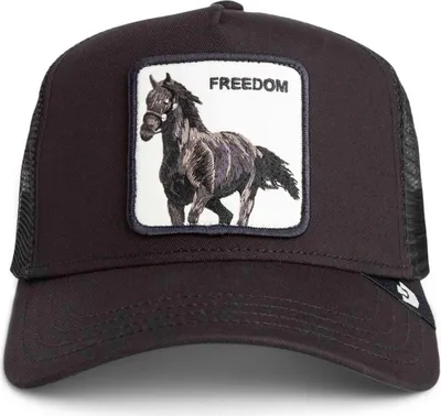 Produktbild von Goorin Bros. Freedom Horse schwarz