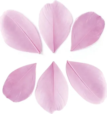 Immagine prodotto di 100 piume tagliate - Rosa pallido 6 cm