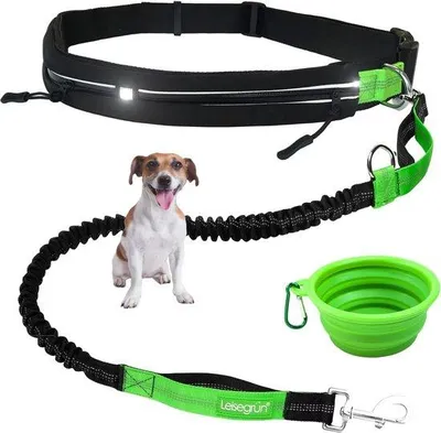 Produktbild von Hundeschlittenschiene für kleine Hunde bis 10 kg, freie Hand für Joggen mit Bauchgurt, 135 cm bis 185 cm, schwarz