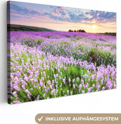 Produktbild von MuchoWow® - Leinwandbilder - Blumen - Lavendel - Lila - Himmel - Sonnenuntergang - Wiese - Natur, Wandbild, Wanddeko Bilder Wohnzimmer, 60x40cm