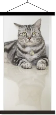 Produktbild von MuchoWow® Textilposter Katze - Grau - Tier - Mädchen - Kinder - Jungen - Kind 40x80 cm mit schwarzem Rahmen - Wandemalerei