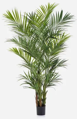 Produktbild von artplants.de Künstliche Kentia Palme Omayra, buschig, 260cm - Kunststoff Palme