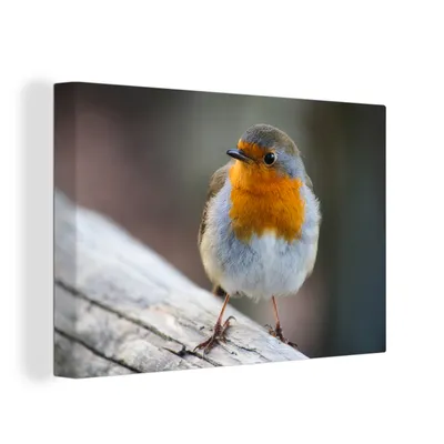 Obrázek produktu pro OneMillionCanvasses® Malba na plátně Nástěnná malba na plátně - Robin - dřevo - pták - 150x100cm