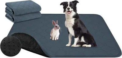 Productafbeelding van Famanu trainingspads voor honden - Herbruikbaar, lekbestendig, sterke absorptie - 150 x 90 cm
