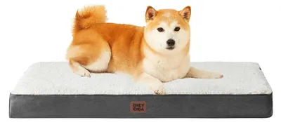 Produktbild von Orthopädisches Hundebett 91x68cm Beige für mittelgroße bis große Hunde