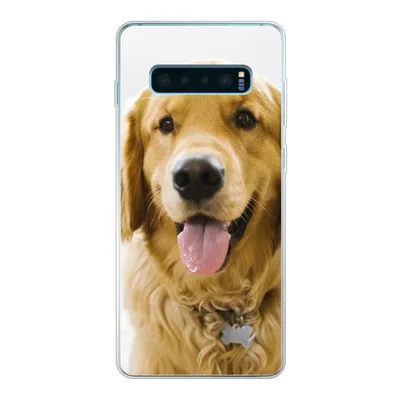 Produktbild von MuchoWow® Handyhülle Schutzhülle Hülle für Samsung Galaxy S10 Lite Porträt eines superschönen Golden Retrievers Silikon Softcase Handy Hülle - Schutz