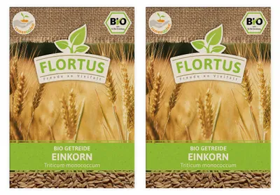 Artikelbild 31 von 'BIO Einkorn' aus der Kategorie Getreidesamen