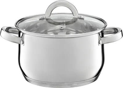A stainless steel pot with a glass lid and handles, presented on a white background.