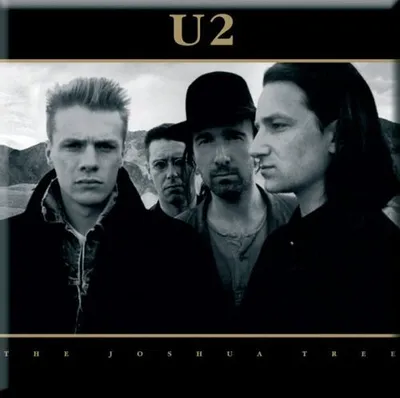 Produktbild von U2 Joshua Tree Magnet