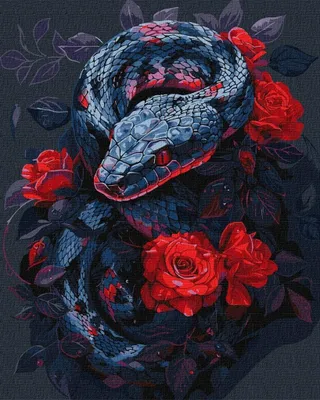 Immagine prodotto di Dipingere con i numeri - La rosa pericolosa 40x50 cm - Ideyka