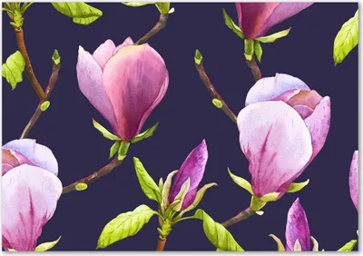 Produktbild von Tulup® Glas-Bild - 100 x 70 - Wandbild aus Glas - Wandkunst - Wandbild hinter gehärtetem Sicherheitsglas - Blumen & Pflanzen - Magnolie - Rosa